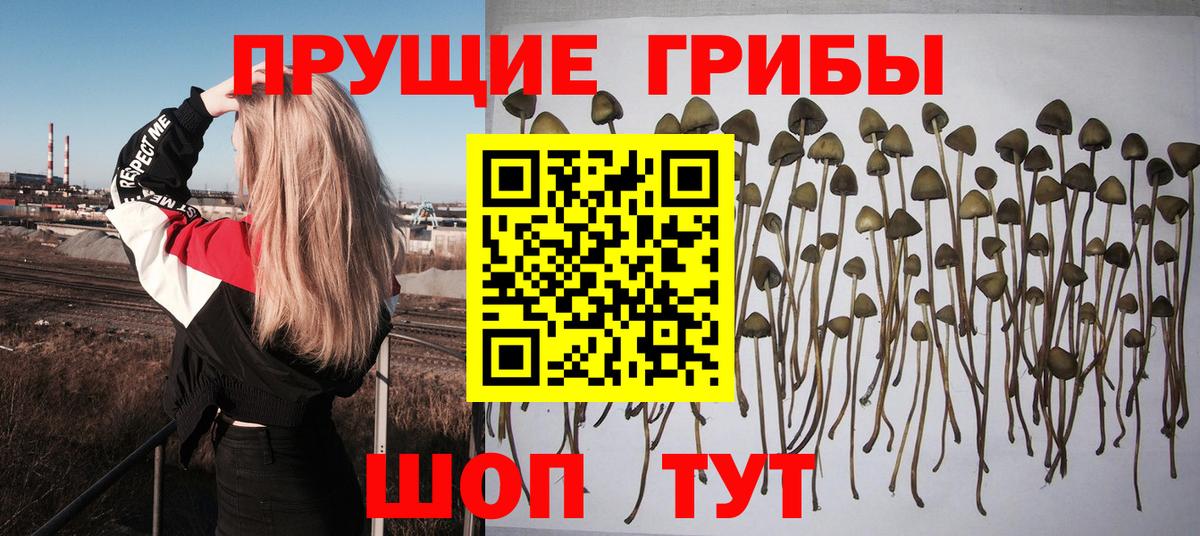Галлюциногенные грибы ЛСД Баксан
